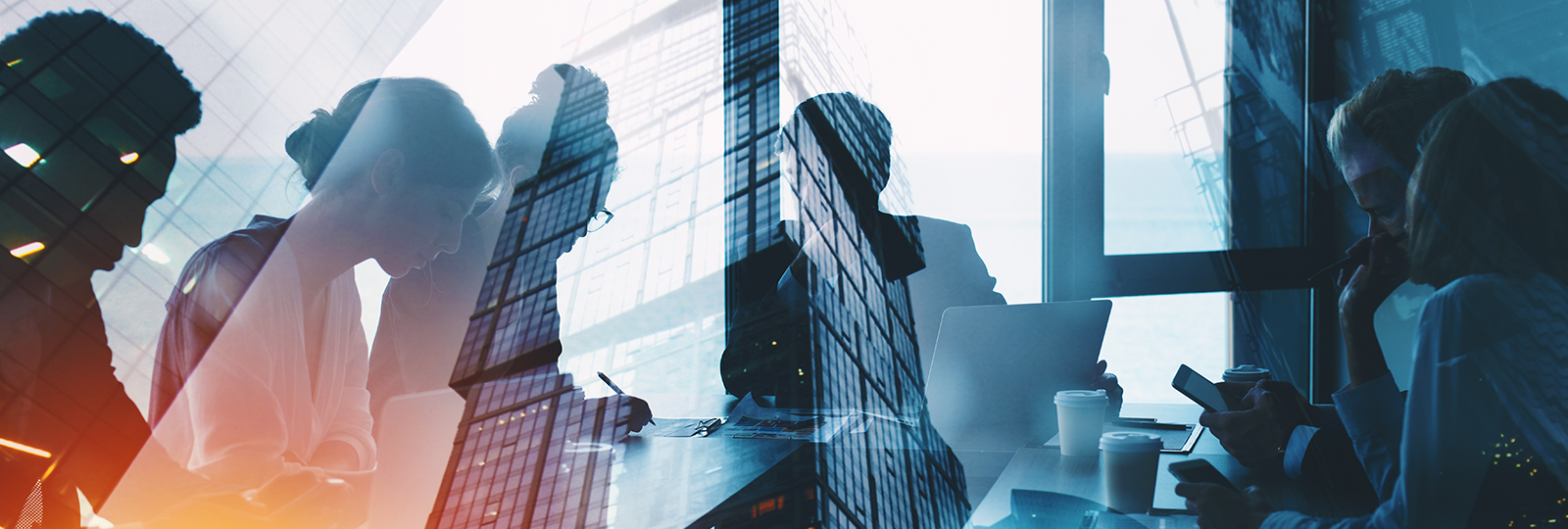 ACE Enterprises AUS Executive Advisory